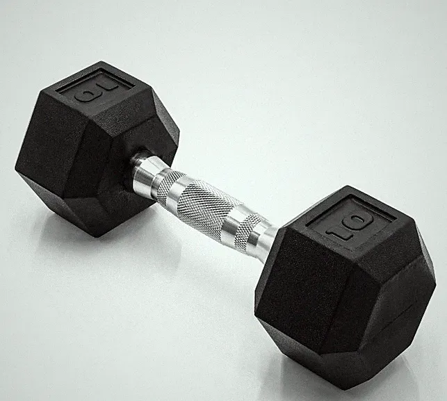 GENERIC 10LBS DUMBBELL - BLACK