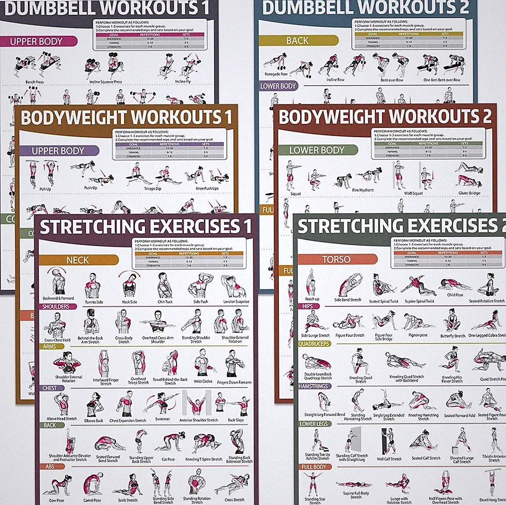 gisgfim 6PCS Workout Posters for Home Gym Dumbbell Bodyweight Stretching Workout
