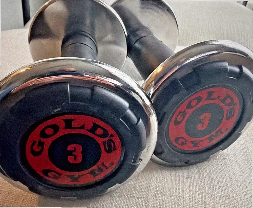 Gold’s Gym 3 Lb Chrome Dumbbells Pair 2x3Lb Total 6Lbs Weights
