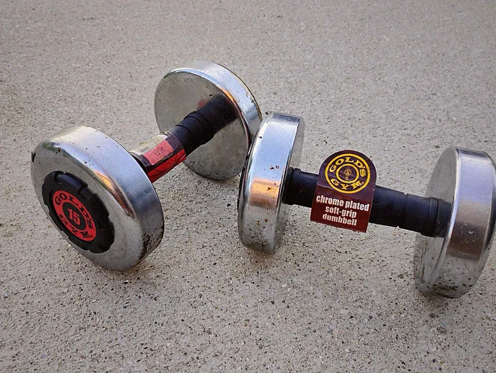 Gold's Gym Dumbbells 2x 15 Lbs Set Chrome Black Red Free Weight Training (GAR)