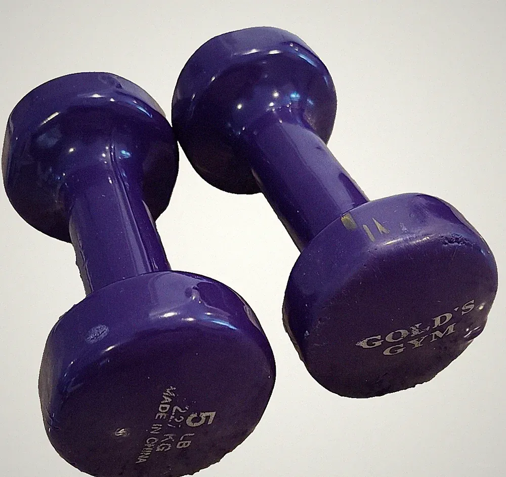 Gold's Gym Purple Vinyl-Coated Dumbbells Hand Weights 5 LB x 2 Walk Home Workout