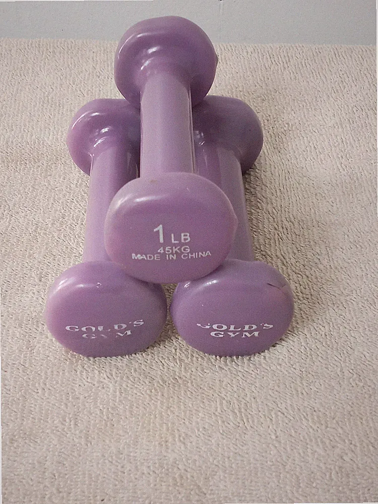 Gold's Gym Vinyl 1 Pound ea. 3 Dumbbells (Purple, Set of 3)