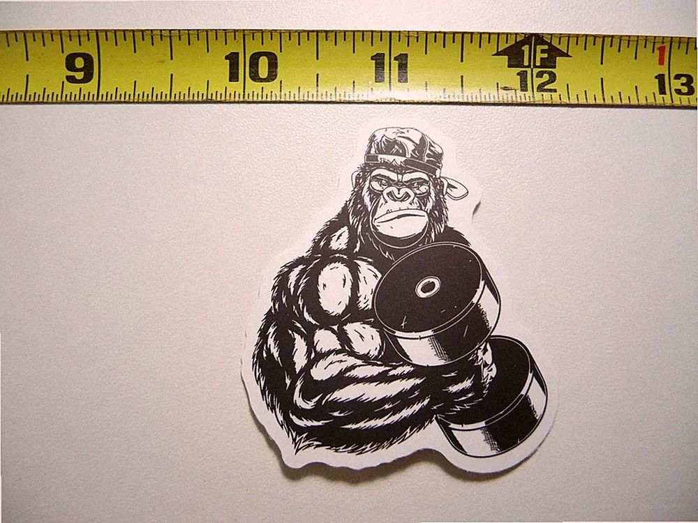 GORILLA DUMBELL DUMBBELL SMALL STICKER DECAL GYM WEIGHTLIFTING FITNESS EXERCISE
