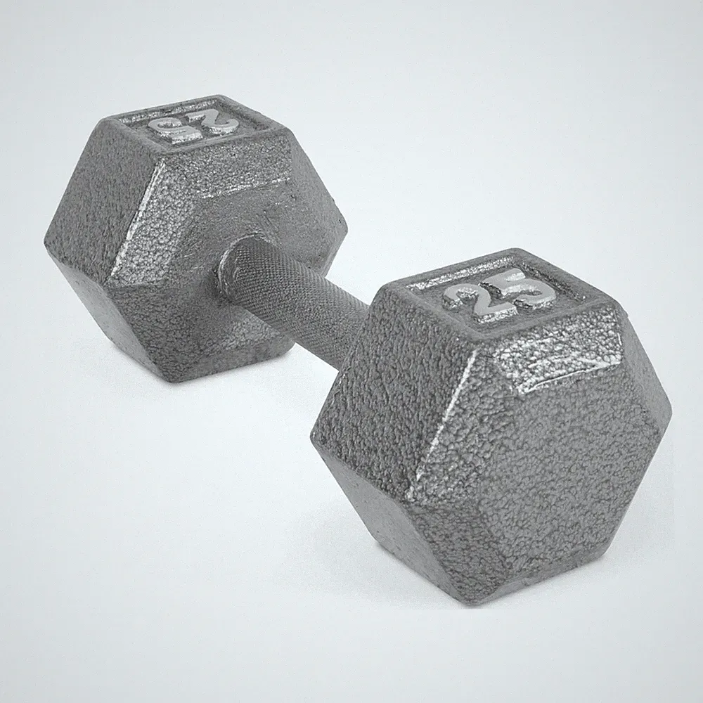 #Gray 25lb Cast Iron Hex Dumbbell Gym Strength Training Fitness, Single