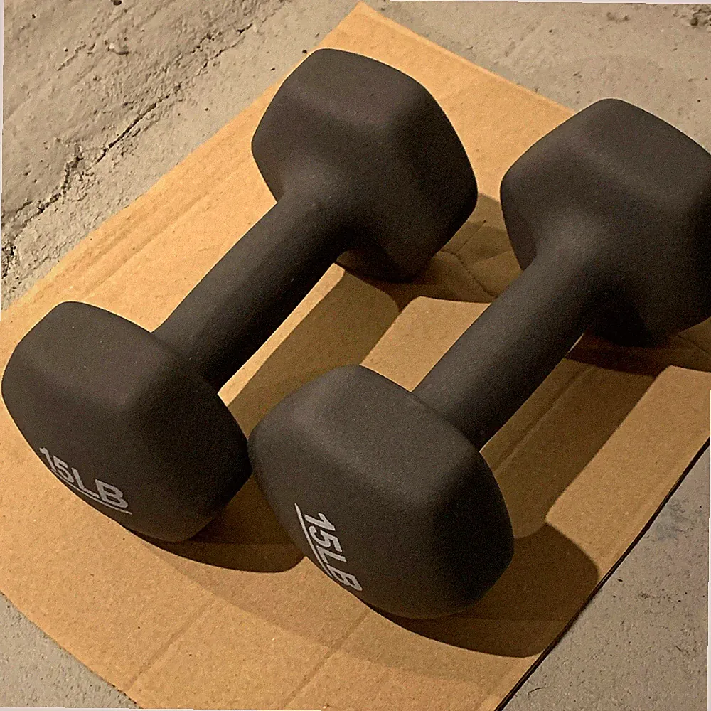Gray Fixed Weight Dumbbells Pair 2 x 15 lb (Local pickup)
