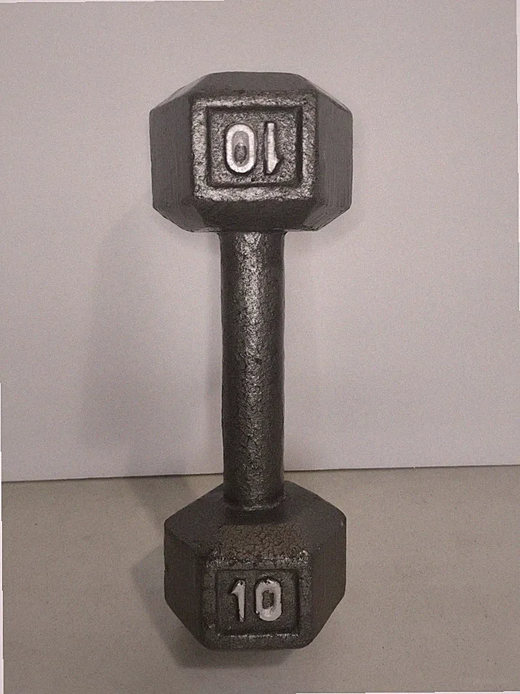 Hex Cast Iron 10 lb Dumbbell Gray Unisex Gym Training Weight Lifting Unbranded