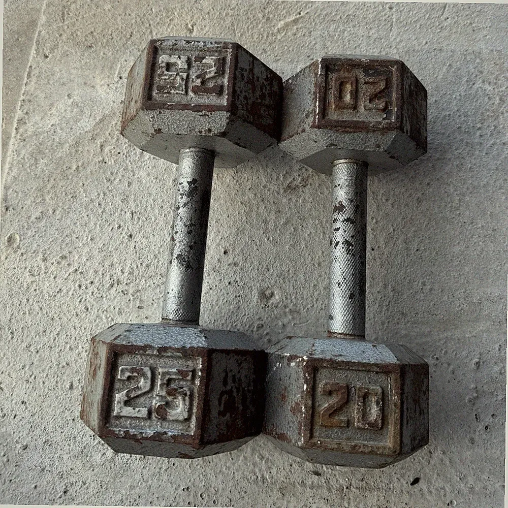 Hex Cast Iron Dumbbells Set 25 lb & 20 lb Gray Weight Lifting Gym Training