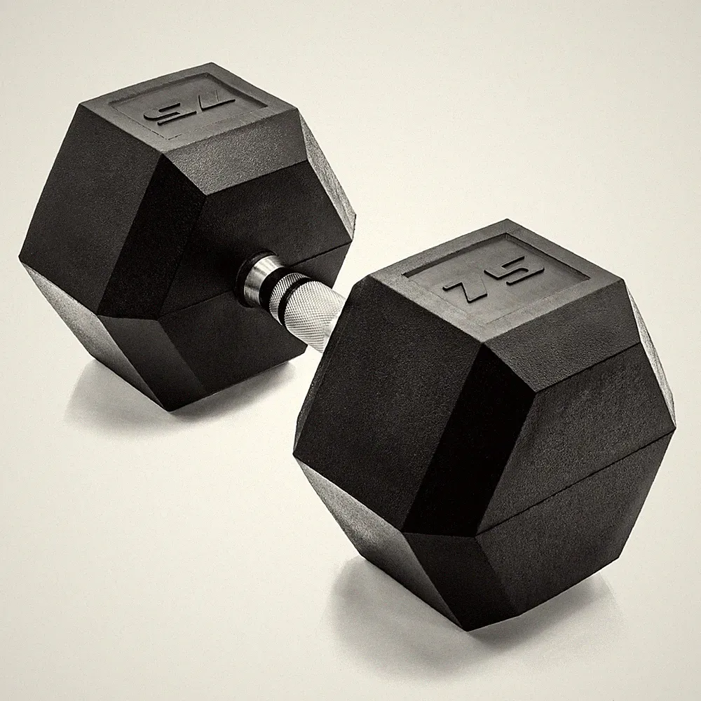 75 lb dumbbell single