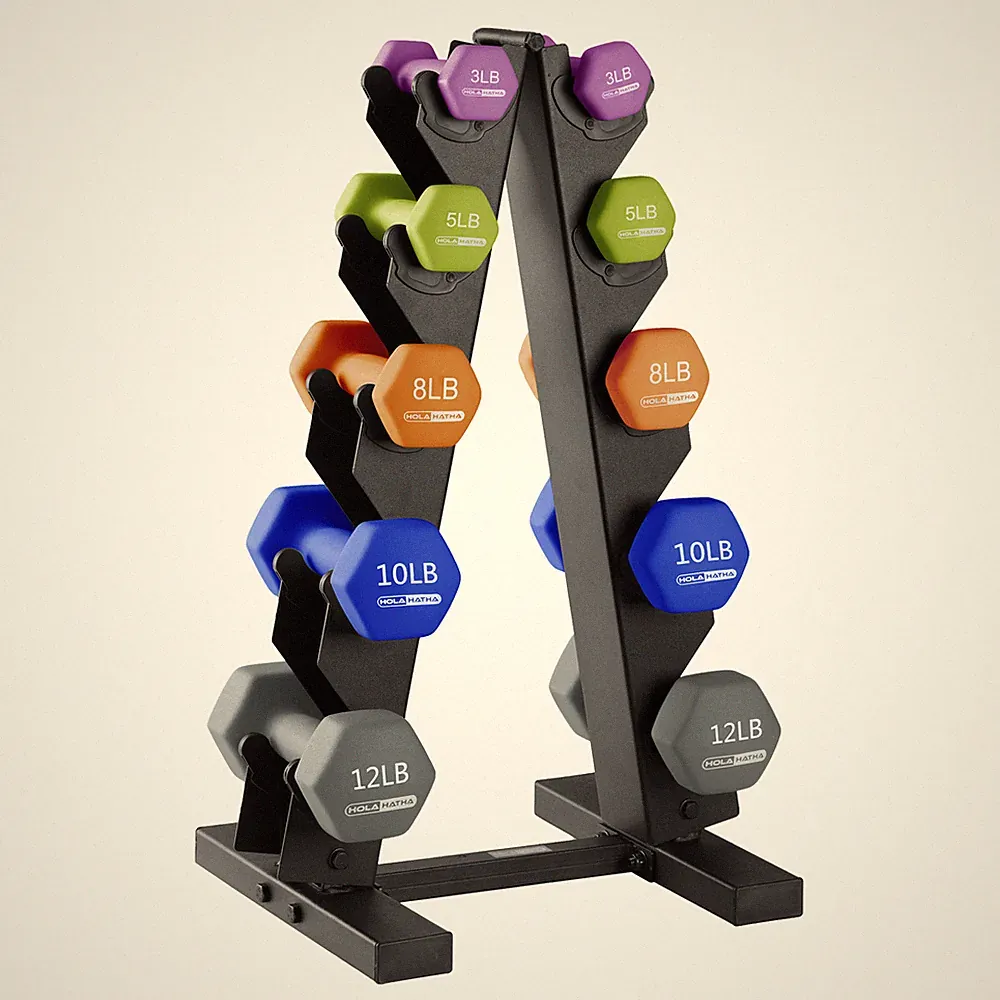 HolaHatha Dumbbell Hand Weights Set & Rack for Home Workout, 76 Lbs, Multicolor