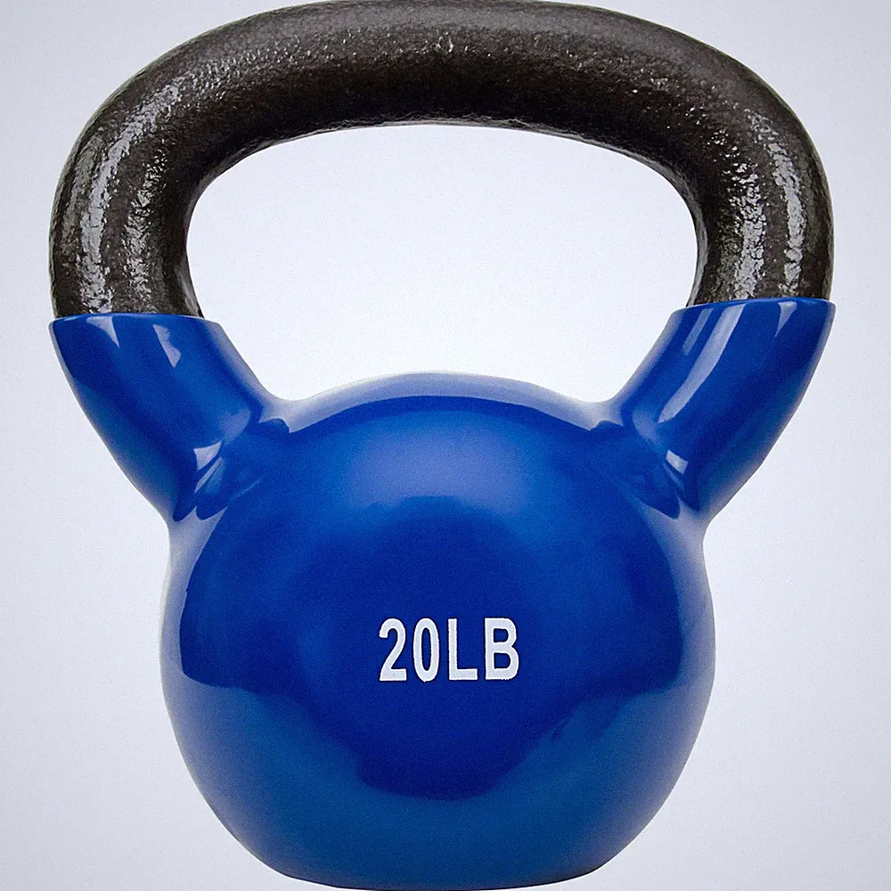 Iron Coated Cast Kettlebell 20 lb Blue Sunny Health Fitness Vinyl