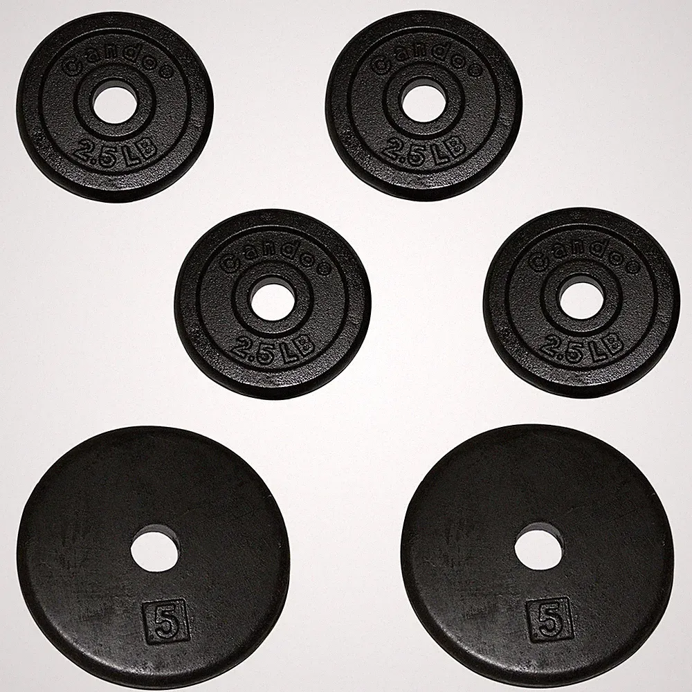 Iron Disc Weight Plates - 20 lb set (4 each: 2.5 lb and 2 each: 5 lb weights)