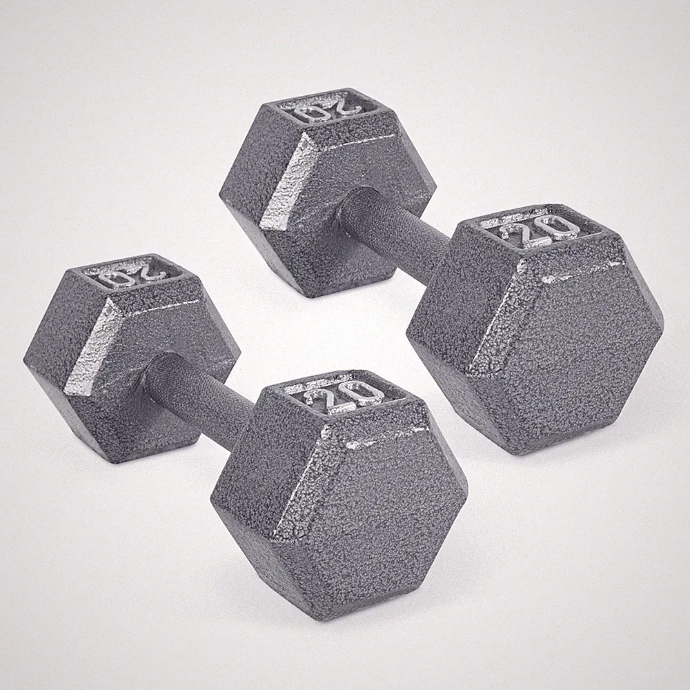 Iron Hex Dumbbell Pair 20 lb Gray SDGPIS 40 Cast