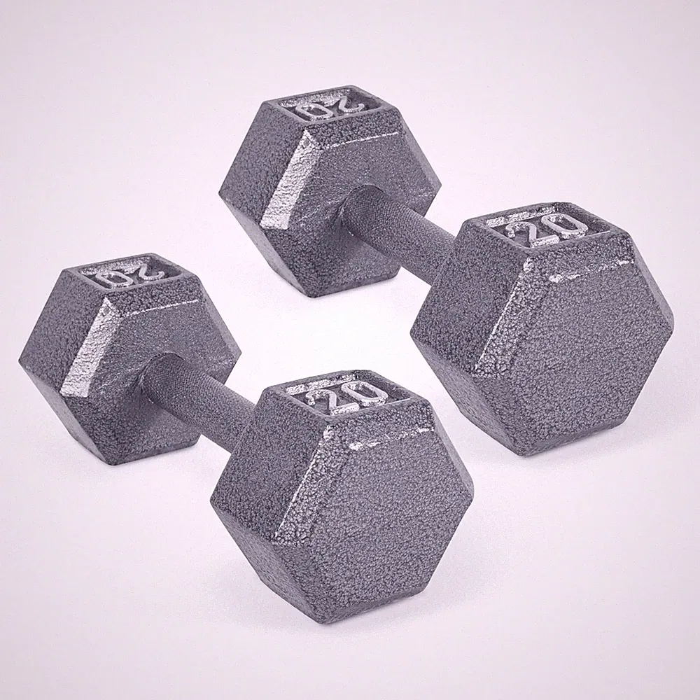Iron Hex Dumbbell Pair 20 lb Gray SDGPIS 40 Cast