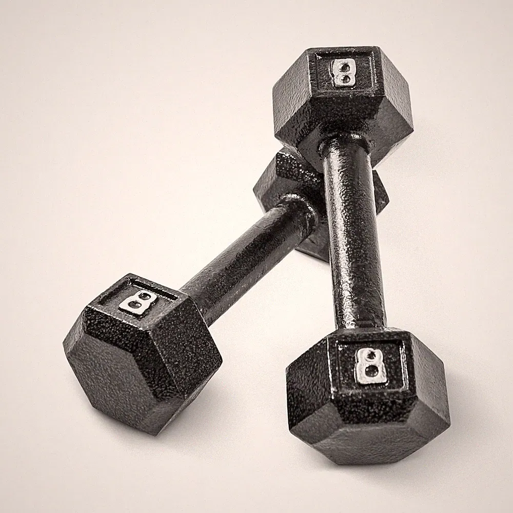 Iron Hex Dumbbell Weights Pair 8 lb Black CAP Barbell Cast
