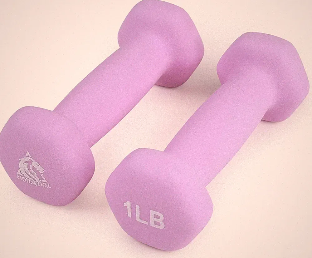 LIONSCOOL Set of 2 Neoprene Coated Dumbbell Hand Weights, Anti-Slip lavender
