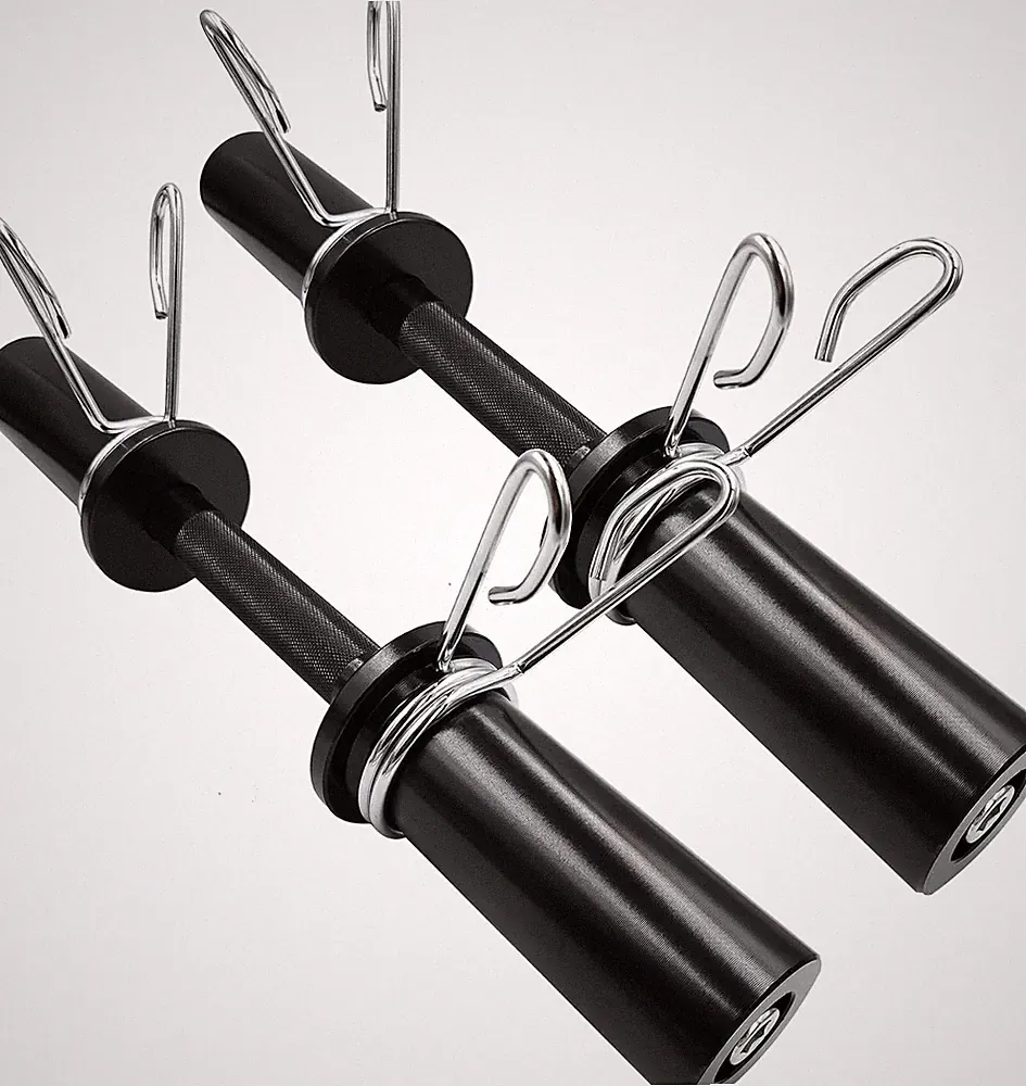Loadable 16" Olympic Dumbbell Handles Set - 150LBS Capacity, 2 Spring Collars
