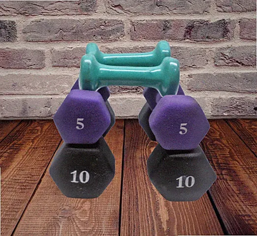 LOT OF 6 dumbbell set 10 LB 5LB 2 round dumbbell
