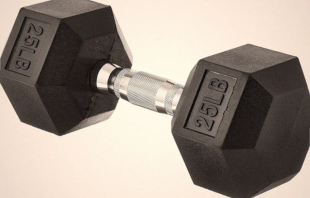 Mancuernas De 25 Libras Cada Una 1 Set Para Mujer Hombre Ejercicio Gym Pesas NEW