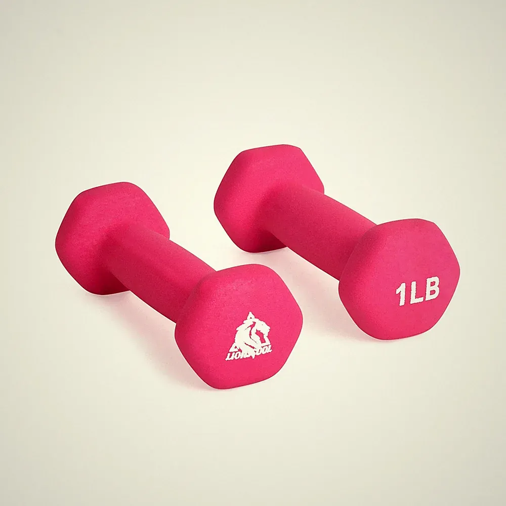 Neoprene Coated Dumbbell Weights 1lb Pair in Rose Pink Color