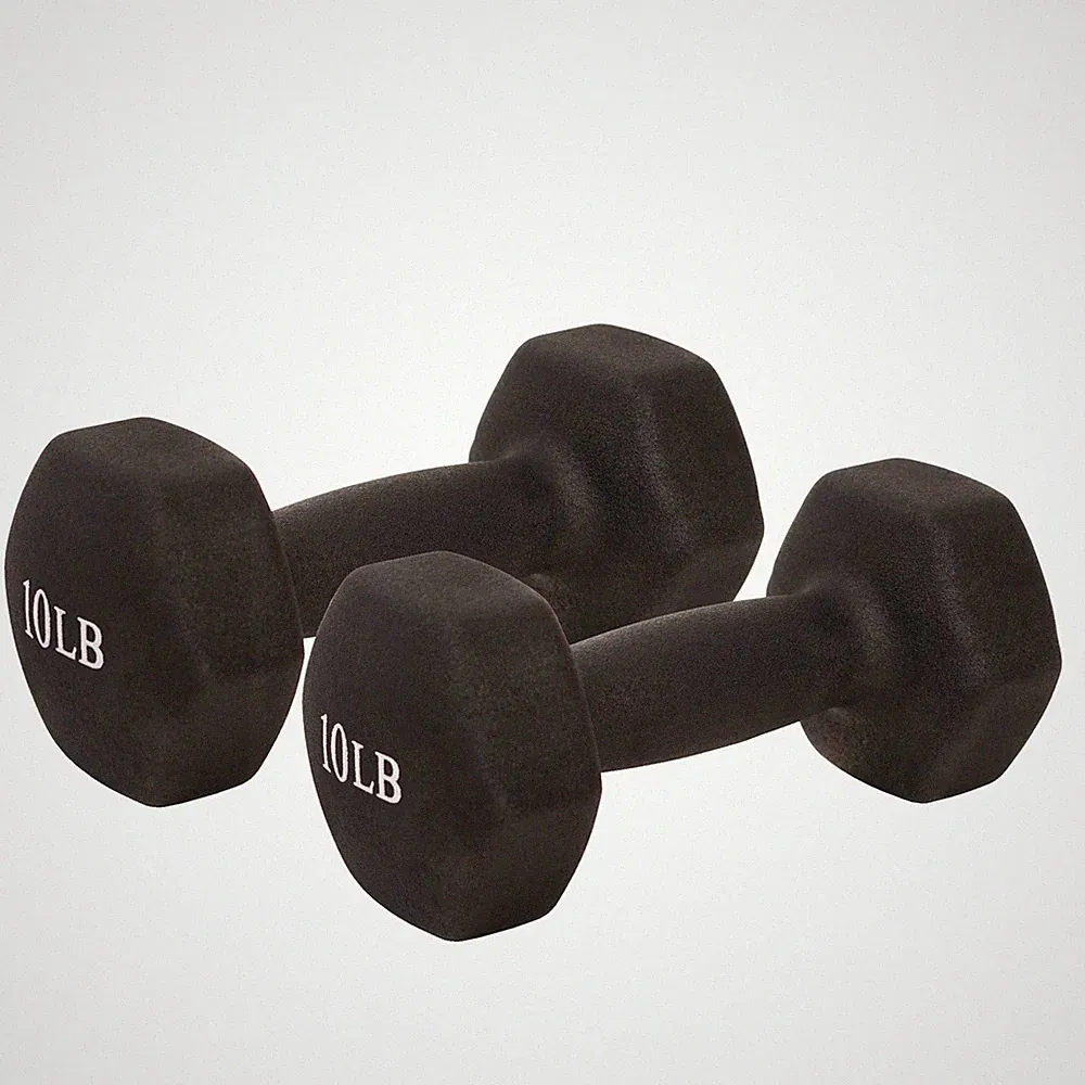 Neoprene Dumbbell 10 lb. Black Sunny Health & Fitness NO. 021-10-PAIR