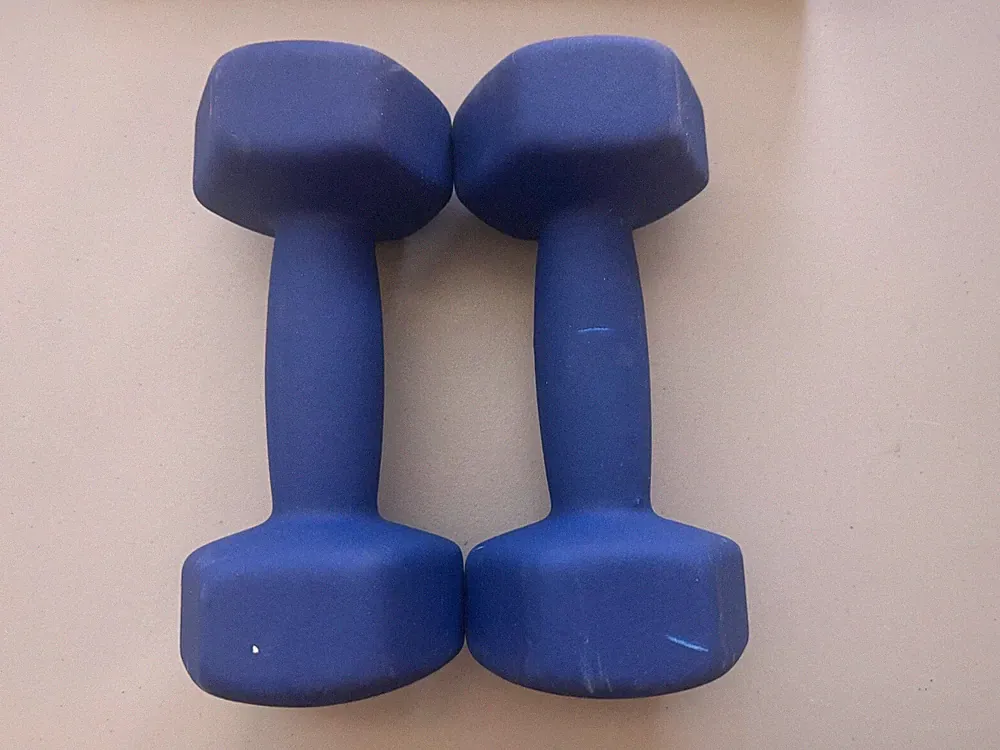 Neoprene Dumbbell Hand Weights 10lbs PAIR