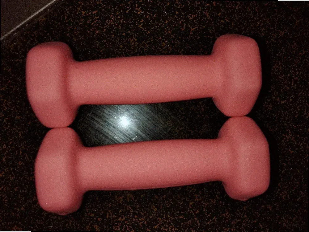 Neoprene Dumbbell Hand Weights For Exercise Strength Training Home Fitness USNew