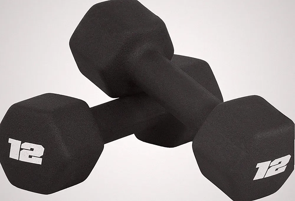 Neoprene Dumbbell Pair 12 lb Hand Weights Set Non Slip Fitness Exercise