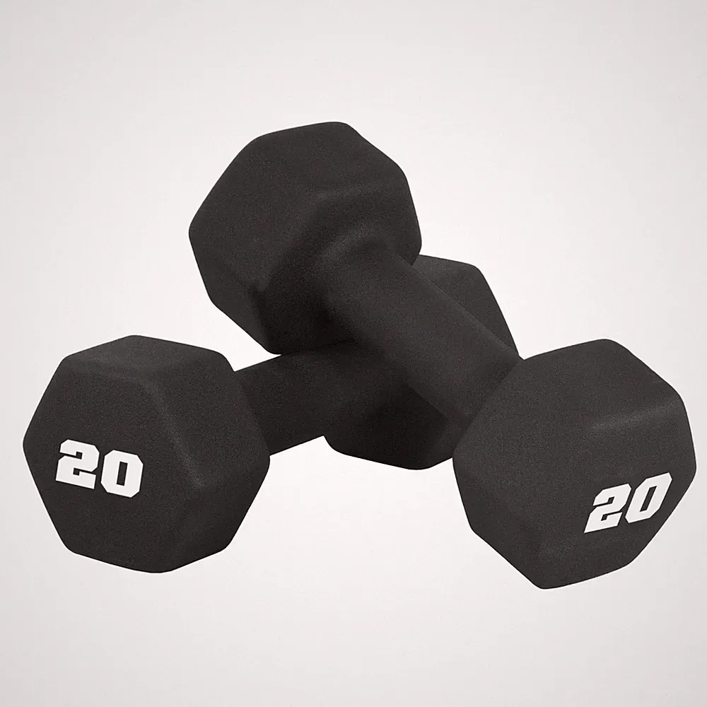 Neoprene Dumbbell Weights 20 LB Pair Black Hand Weights for Strength Training