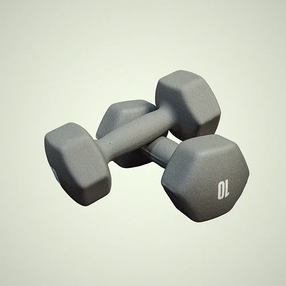 10 lb dumbbell grey