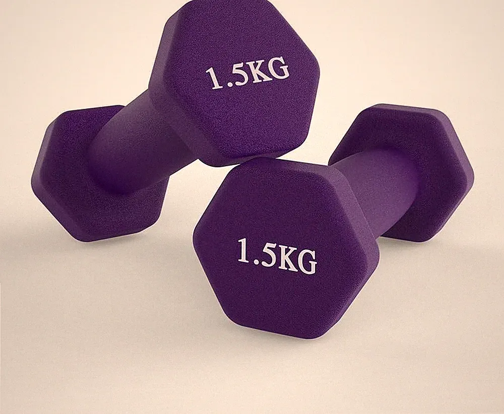 Neoprene Dumbbells for Home, Gym, Fitness, 2 Pack - 1.5kg Dark Vi...