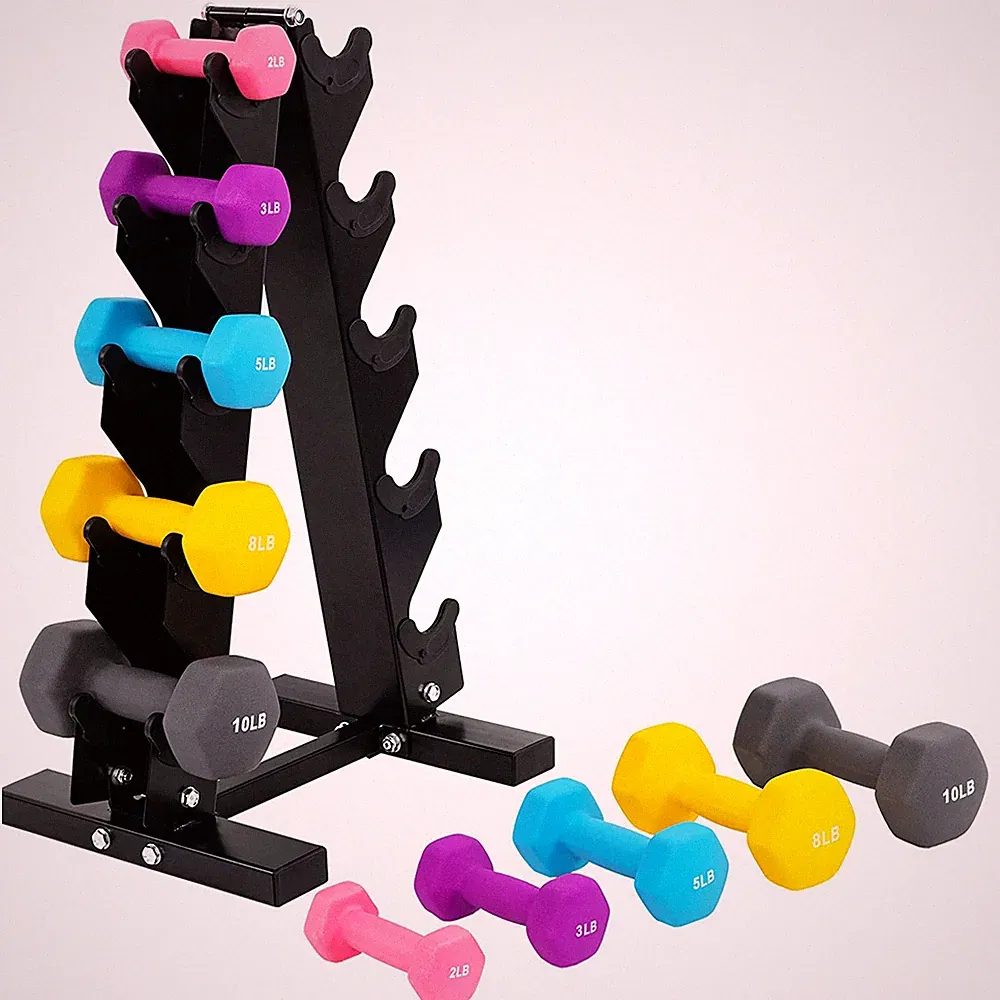 Neoprene Fitness 2, 3, 5, 8 & 10 Pound Dumbbell Set A Frame Rack Complete Set