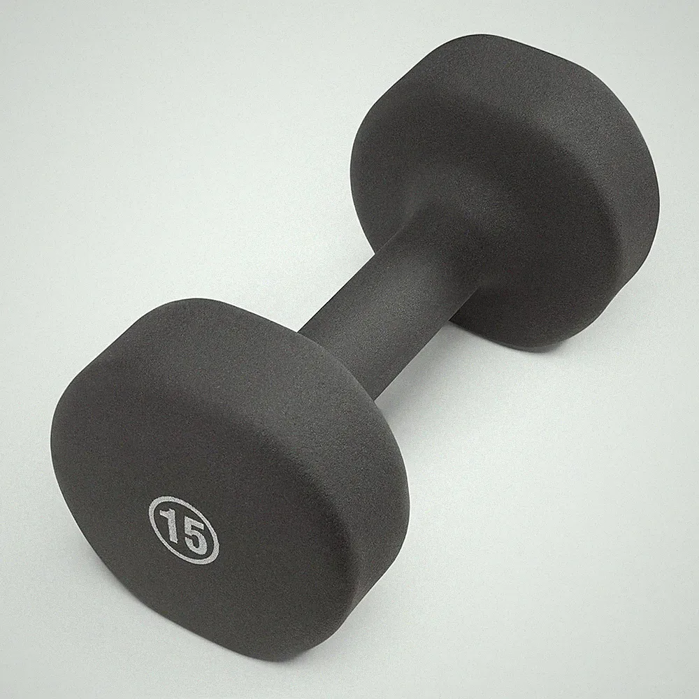 Neoprene Hand Weights Exercise Dumbbells Steel Grey 15lb Single Resistance