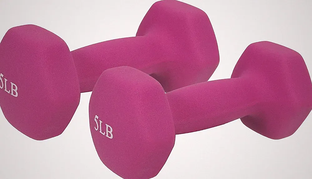 Neoprene Hex Dumbbell for Home Gym 2-10 Lb Pair