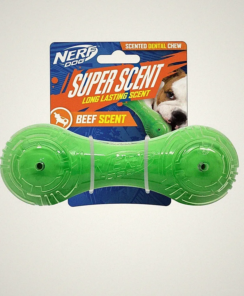 Nerf Dog ~ Super Scent Beef-Scented Barbell Chew Dog Toy - 7 inches, Green
