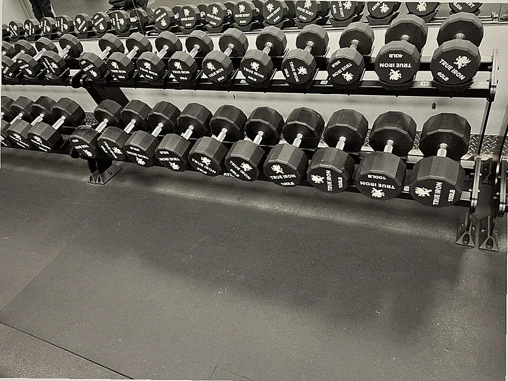 New True iron 12 Sided Urethane Dumbbell Set 5-100