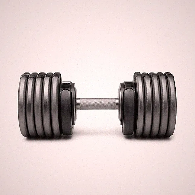 NORDICTRACK 110lb Select-A-Weight Adjustable Dumbbell Set 15-Piece Iron