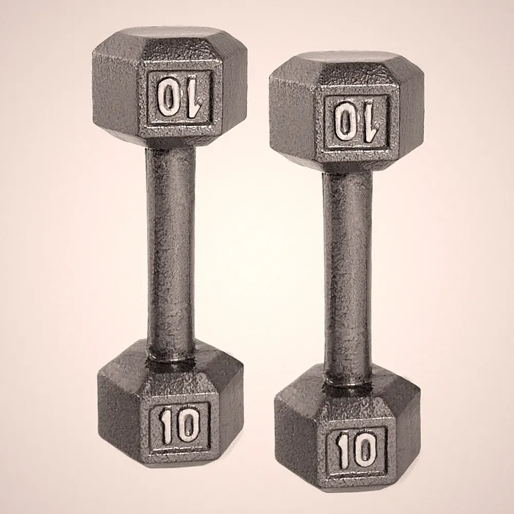 Pair 10lb Dumbbells 2Pcs Cast Iron Dumbbell for Home Gym Strength Training, Gray