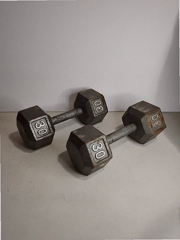 Pair 30lb Cast Iron Hex Dumbbells Total 60 lbs Weight Set Gym Exercise