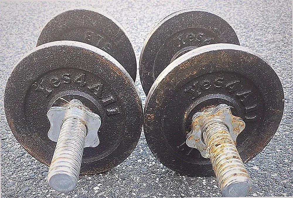 Pair Of 2 Yes4All 5 LB Barbell Dumbell Weight Plates W/Bar Clamps