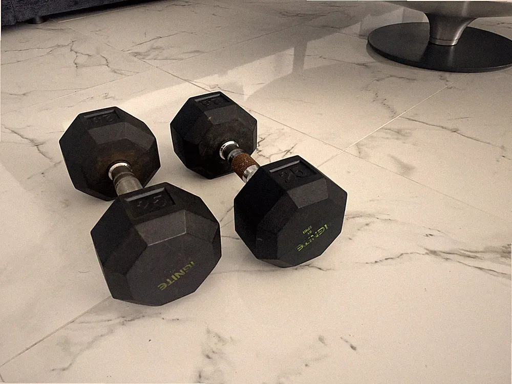 Pair of 25 lb dumbbells