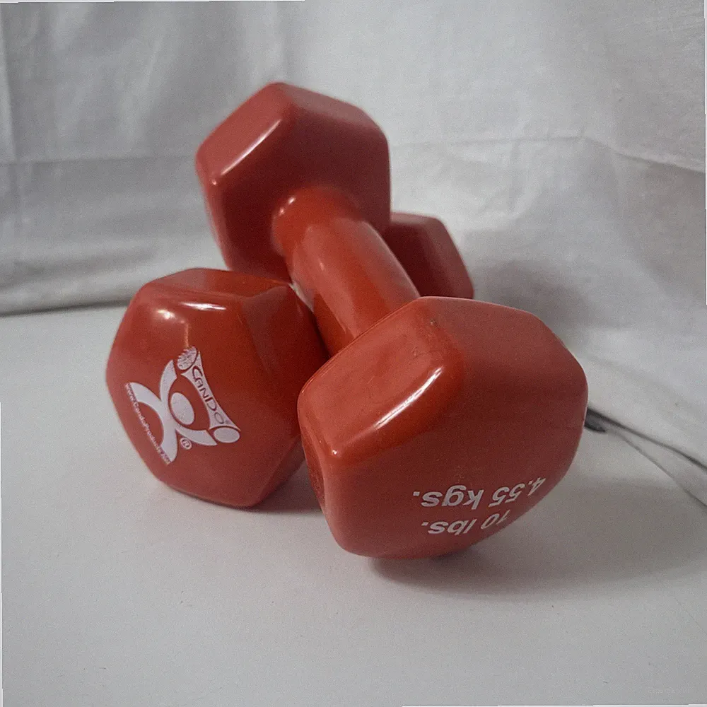 vinyl dumbbells 10 lb pair
