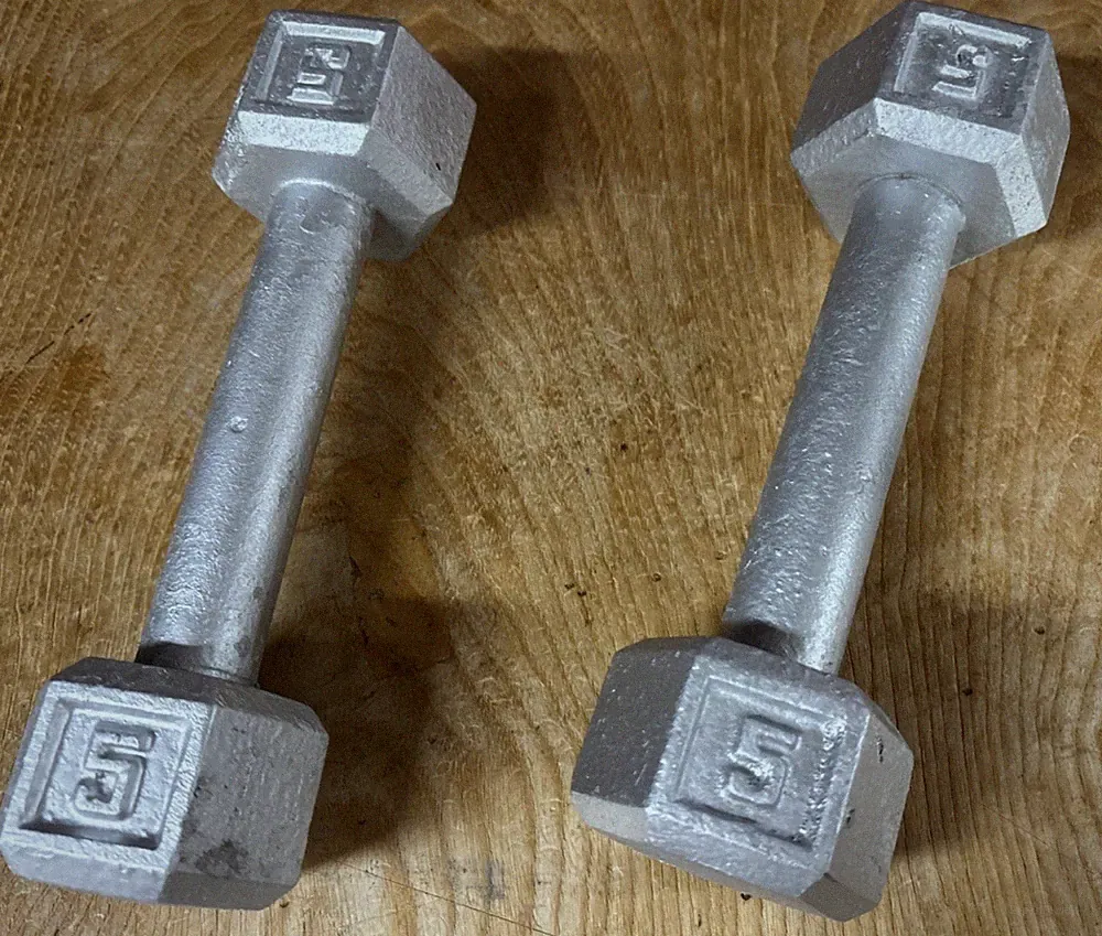 cast iron dumbbells set of 2