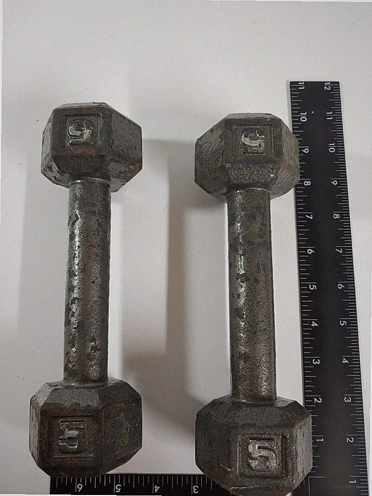 Pair Set Two 5 Pound Cast Iron Metal Hex Weights Dumbbells 10 Lbs Total