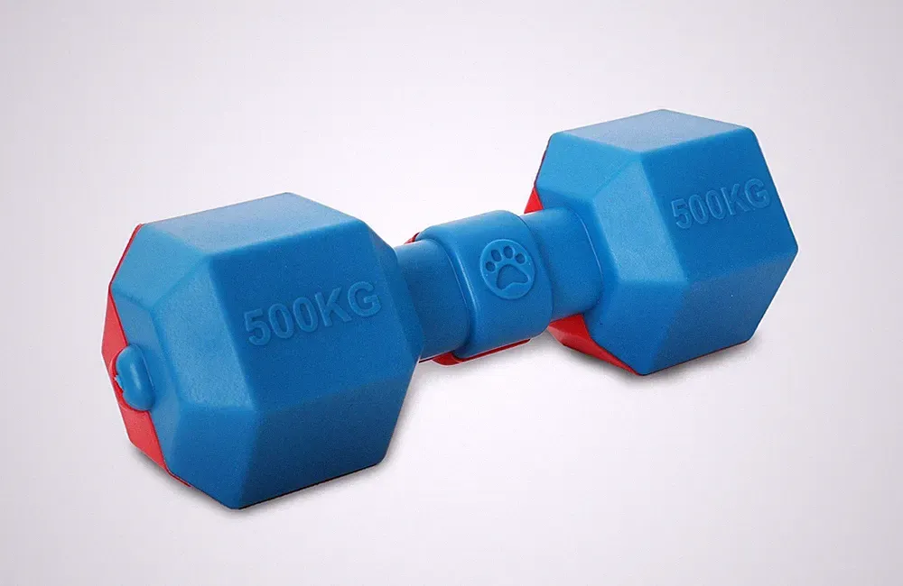 Pet Life Dumbbell Durable Water Floating Chew And Fetch Dog Toy (DT16)