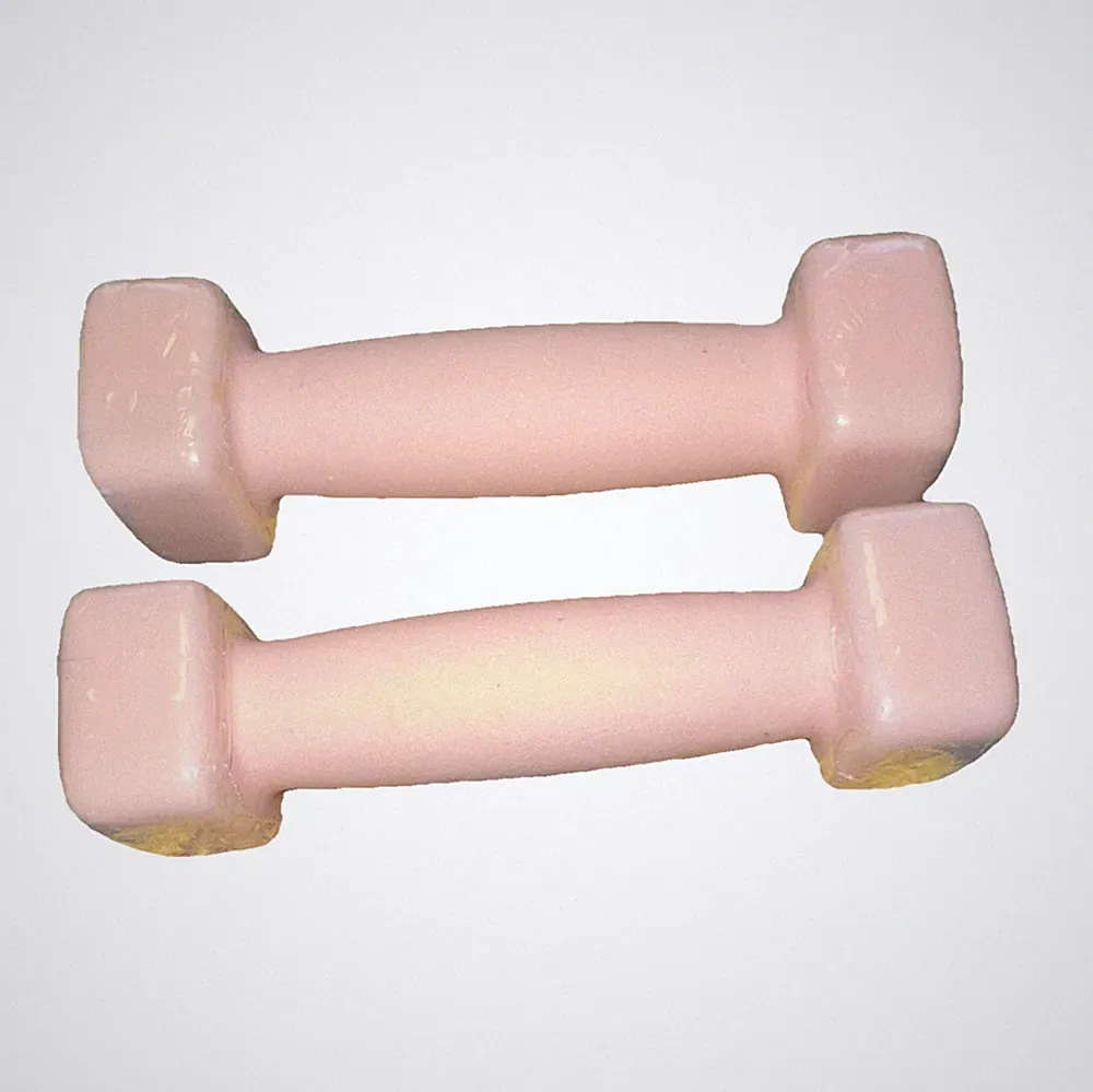 Pink Vinyl Fixed Weight Dumbbell Set of 2 for Gym & Weight Training