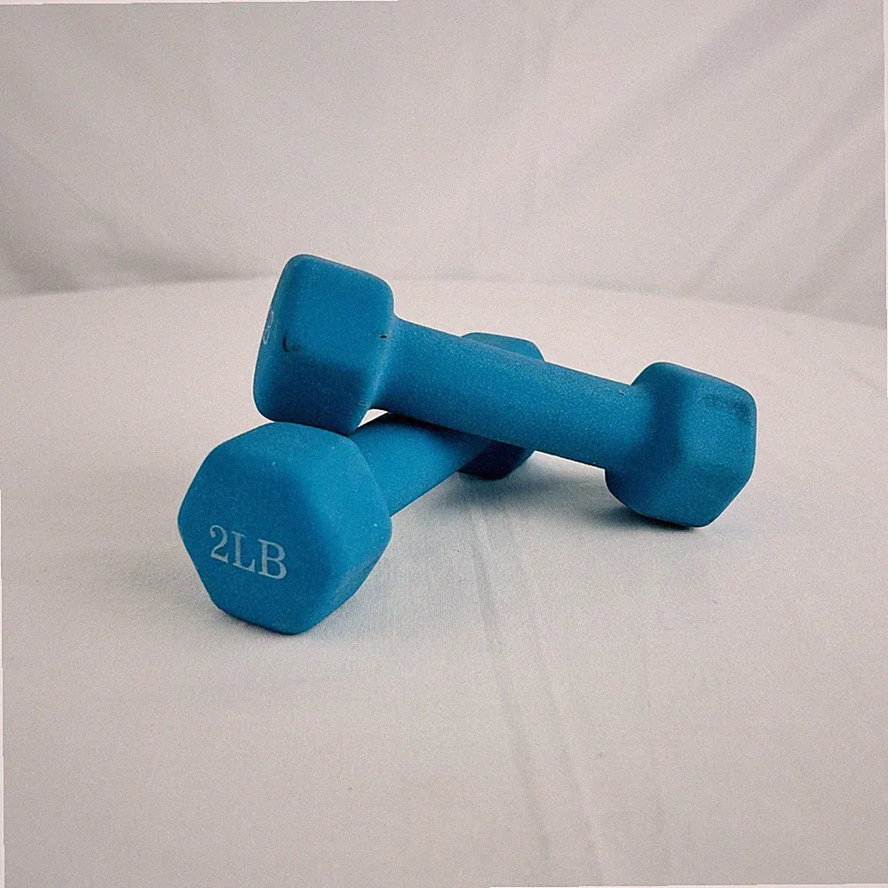 Portzon 2LB Neoprene Dumbbell Pair Anti-Slip Hex Hand Weights Blue Home Gym