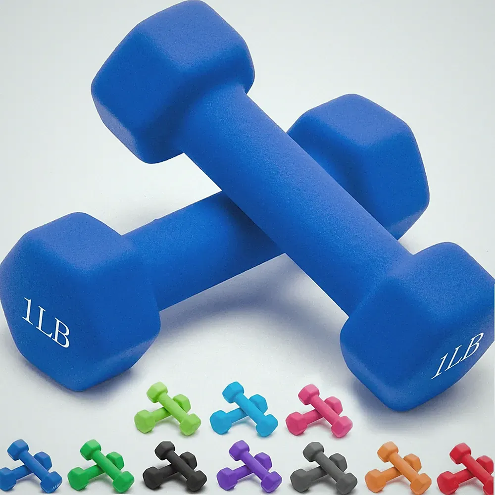 Portzon Weights Dumbbells 10 Colors Options 01-Pound, Pair, Dark Blue