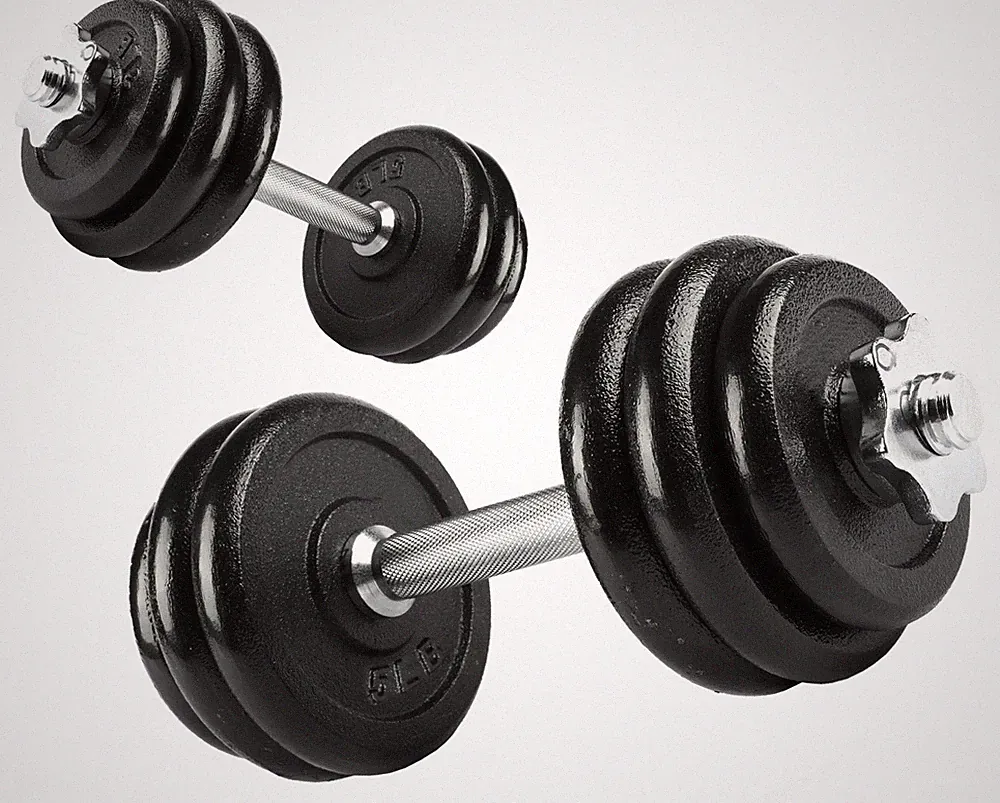 PRCTZ 40 lb Adjustable Dumbbell Set Chrome Black Home Gym