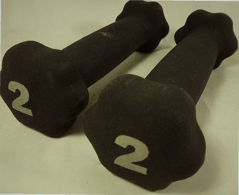 Pro Form Black Neoprene 2 lb Dumbbell Pair Set ProForm for Treadmill Replacement