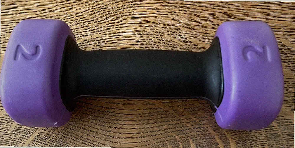 ProForm Polypropylene Dumbbell 2 Lb